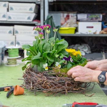 20240215-GB-Ziegengeist-Frühlingsworkshop