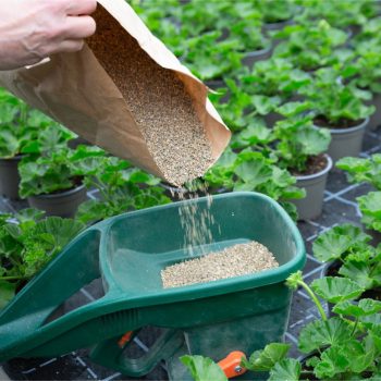 20240415-GB-Ziegengeist-Produktion-Nützlingseinsatz