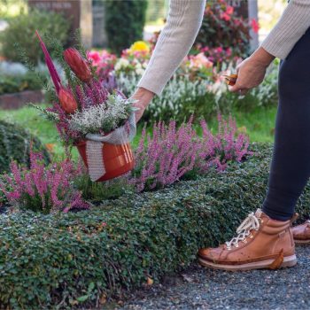 20241015-GB-Ziegengeist-Grabpflege